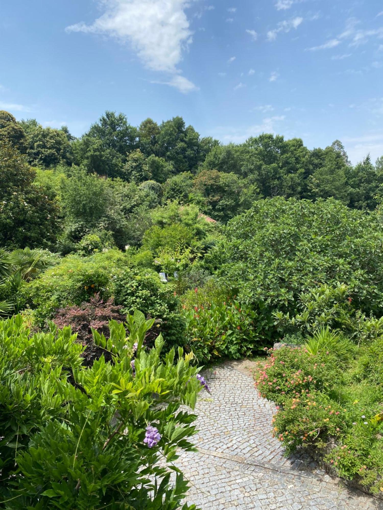 Quinta De Ribas Villa Amarante Luaran gambar