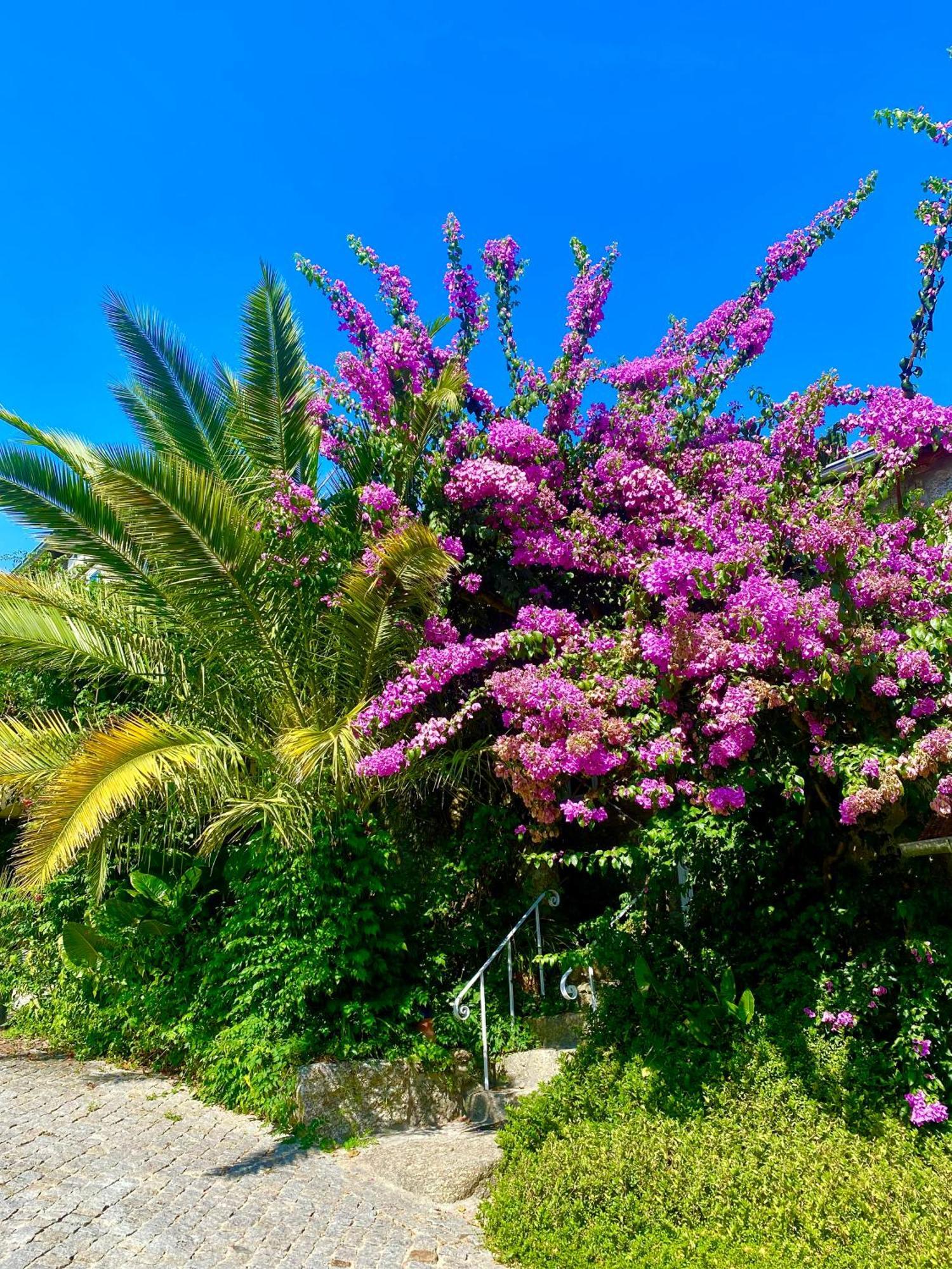 Quinta De Ribas Villa Amarante Luaran gambar