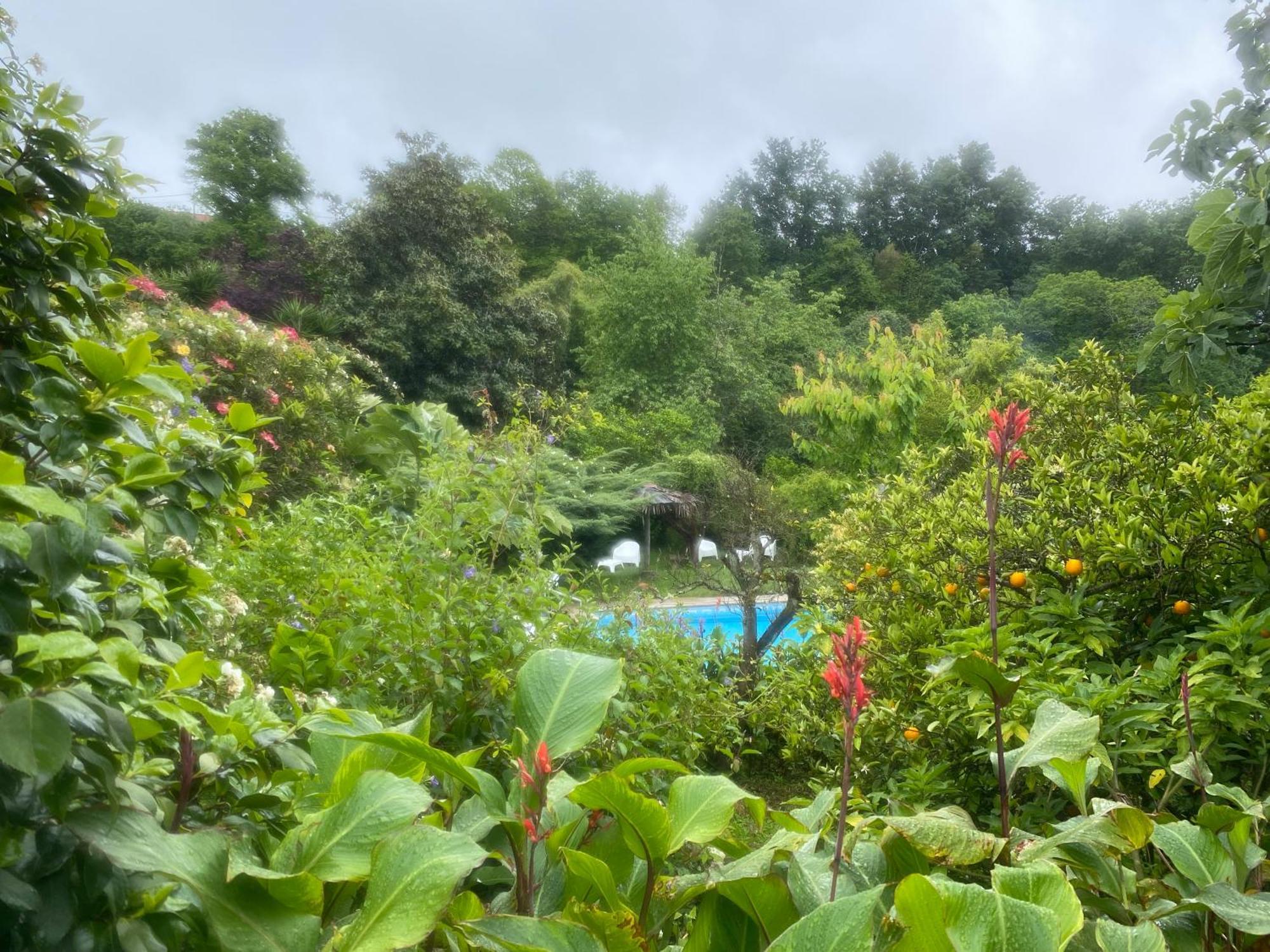 Quinta De Ribas Villa Amarante Luaran gambar