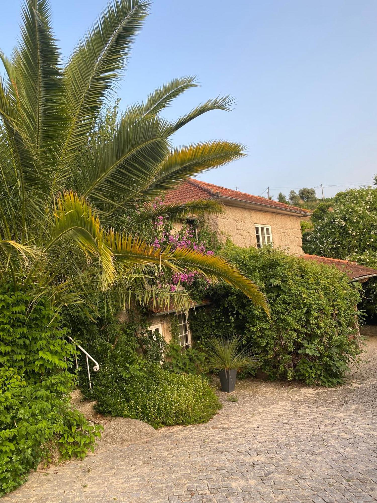 Quinta De Ribas Villa Amarante Luaran gambar