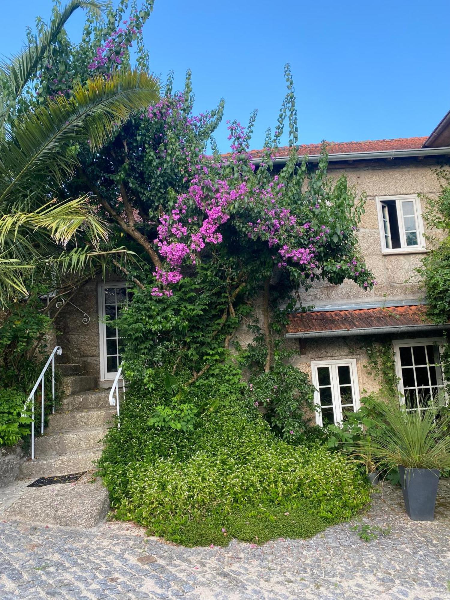 Quinta De Ribas Villa Amarante Luaran gambar